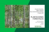 Encuentro Económico Región Cajamarca Banco Central de … · 2020-01-25 · oportunidades para hacer de las plantaciones forestales comerciales una alternativa de uso de la tierra
