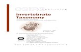Invertebrate Taxonomy - WordPress.com · Invertebrate Taxonomy, 2001, 15, 589–665 Taxonomy, phylogeny and biogeography of the ant genus Tetraponera (Hymenoptera:Formicidae) in the