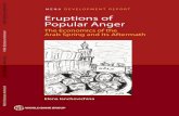 MENA DEVELOPMENT REPORT Eruptions of Popular Anger...Better Governance for Development in the Middle East and North Africa: Enhancing Inclusiveness and Accountability (2003) by World