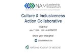 Culture & Inclusiveness Action Collaborative · 2020-07-07 · sustain culture transformation. translate science to action/impact. State-level policy priorities for equity 1) Institutionalize