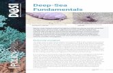 Deep-Sea Fundamentals - DOSIdosi-project.org/.../05/009-Policy-Brief-3-Deep-sea... · The deep oceans are fast becoming the next frontier for the discovery of valuable resources.