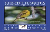 SOUTH DAKOTA - Dakota State University · ested in birds, I tried to make sure she was wel-comed into field trips and alerted to good bird sightings. However, I had no idea that her