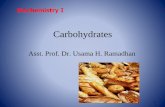 Carbohydrates - pharmacy.uobasrah.edu.iqpharmacy.uobasrah.edu.iq/images/stage_three/Biochemistry_I... · carbohydrates characterized by their content of amino sugars and uronic acids.When