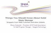 Marty Czekalski - President SCSI Trade Assocaitoi n, Sr ... · 10/11/2012  · It touches on the highlights of the driving factors behind Solid State Storage, it’s performance,