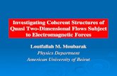Investigating Coherent Structures of Quasi Two-Dimensional ...aub.edu.lb/.../lattouf_msthesis_presentation.pdf · L. Moubarak 3 2D turbulence in nuclear fusion Fusion requirements: