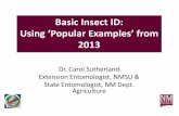 Basic Insect ID: Using ‘Popular Examples’ from 2013 Aug---CES Training on Insect I… · Are You Challenged by Insect ID? Do You Squirm at the Sight of a Worm? In the next hour,