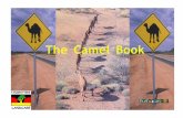 The Camel Book - Ninti One€¦ · every 8 years! By 2009 there could be a million wild camels in Australia. Distribution Map Association Inc To stop the numbers of camels increasing