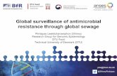 Global surveillance of AMR through sewage samples and ... Pimlapas... · Global surveillance of antimicrobial resistance through global sewage. Pimlapas Leekitcharoenphon (Shinny)