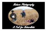 Why Nature Photography? - United States Fish and Wildlife ..._Nature_Photography_Tips_and_Tricks.pdf · Why Nature Photography? “If you are patient, you could see more things. If