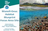 Manell-Geus Habitat Blueprint Focus Area Sitedata.nodc.noaa.gov/coris/library/NOAA/CRCP/project/...• Update the CAP for Habitat Blueprint • Conduct Baseline Ecological Surveys