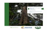 Mid-Term Progress Report Colombia · 2019-11-23 · Report Colombia January 2017 Forest Carbon Partnership Facility (FCPF) ... SIAC Sistema de Información Ambiental de Colombia ...