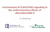 Involvement of TLR4/STAT3 signaling in the antimelanoma ...… · The Hong Kong PhD Fellowship provides an annual stipend of HK$240,000 (approximately US$30,000) and a conference