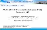 Multi-GNSS Differential Code Biases (DCB) Process at IGG · Slide 3 IGS GNSS Bias Workshop 2015, Bern, Switzerland, Nov 5 -6, 2015 Background and motivation (1/3) • DCBs are needed