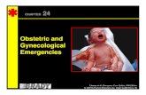 Obstetric and Gynecological EmergenciesCHAPTER 24 Obstetric and Gynecological Limmer et al., Emergency Care Update, 10th Edition © 2007 by Pearson Education, Inc. Upper Saddle River,