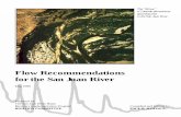 Flow Recommendations for the San Juan River...HabiTech, Inc. Bureau of Land Management Representing Bureau of Indian Affairs U.S. Fish and Wildlife Service, Region 2 Bureau of Reclamation