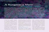 A Surgeon’s View - Center for Cancer Research · cancer. Early on, I wrote a number A Surgeon’s View of Prostate Cancer Robert Reiter, M.D., M.B.A., is a Professor of Urology