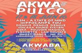 AKWAPULCO #4 - 17 & 18 JUIN 16 akwaba.coop - 04 90 22 55 ...medias.tourism-system.fr/4/f/280656_dp_akwapulco4.pdf · où il réside depuis 2011. 2013 l’album «Sunu7» et en 2015
