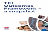 TEI Outcomes Framework – a snapshot · 4 TEI Outcomes Framework – a snapshot. More than $134 million . invested in targeted earlier intervention each year. TEI can contribute