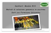 GenHort: Modulo B10 Metodi di selezione genomica in ... lezione 2.pdf · genetica in zucchino Modulo B.10 GENHORT: Metodi di selezione genomica in zucchino I moderni strumenti della