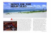 June Iron Works PDF Shrink - High Seas Rally...up so cruise attendees can stay at the Radisson in Cape Canaveral, Florida, a few miles away from the ship, the night before departure