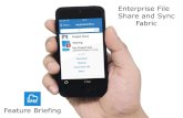 Enterprise File Share and Sync Fabric - BCLOUD€¦ · Storage Made Easy - Briefing Summary • Private Enterprise File Share & Sync fabric • Works with any Private/Cloud Storage