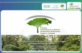 Bogotá D.C., Marzo 17 - 20 de 2014. · Bogotá D.C., Marzo 17 - 20 de 2014. Sistema de Monitoreo de Bosques y Carbono para Colombia Estructura General y Funcional. Misión Técnica