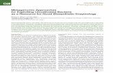 Chemistry & Biology Perspective - CORE · phosphopantetheinyl transferases involved in polyketide and nonribosomal peptide biosynthesis (Owen et al., 2012). In these screens, the