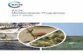 IUCN Mediterranean Programme 2017-2020 · 2017-04-04 · strategies in the Mediterranean region, in particular the UNEP/MAP Mid-Term Strategy 2016-2021 (MTS) and the Mediterranean
