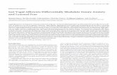 GutVagalAfferentsDifferentiallyModulateInnateAnxiety ...TheJournalofNeuroscience,May21,2014 • 34(21):7067–7076 • 7067 A more selective and discriminative method to ascertain