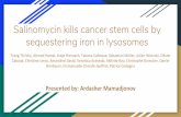 Salinomycin kills cancer stem cells by sequestering iron ......What are Cancer Stem Cells(CSC’s)? Cancer stem cells are very similar to regular stem cells in a sense that they can