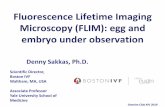 Fluorescence Lifetime Imaging Microscopy (FLIM): egg and ...cme-utilities.com/mailshotcme/Material for Websites... · • Fluorescence Imaging Microscopy • Hyperspectral Analysis