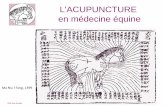 L'ACUPUNCTURE en médecine équine · 1810: l’acupuncture arrive en France avec Louis Berlioz, père du compositeur 1930: Soulié de Moran consul en chine rédige le « précis