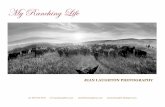 My Ranching Life - Jean Laughton Photography · photography changed drastically - prompting the start my long term photographic series My Ranching Life. Transitioning from portraiture