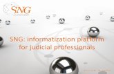 SNG: informatization platform for judicial professionals SN… · • Agile/Scrum combination: development – legal – strategic • All Dutch bailiffs, over 100 local governements