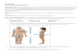 BODY ORGANIZATION LAB · Web viewPhysiology Body Organization Activity INTRODUCTION: This activity will help you to learn the vocabulary use to describe the human body. This vocabulary