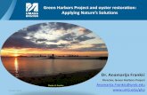 Green Harbors Project and oyster restoration: Applying ...files.ctctcdn.com/9772c893201/14022728-e3b0-4aa2-8331-c5de412… · Savin Hill Cove Biomimicry LivingLabs: Learning, teaching