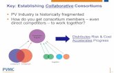 Key: Establishing Collaborative Consortiumsfloridaenergy.ufl.edu/wp-content/uploads/Schoenfe... · 2D and 3D modeling of advanced cell structures (local contacts, adjacent n and p
