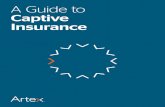 A Guide to Captive Insurance - Artex Risk Solutions · 2 THE CAPTIVE MARKET 06 Captive insurance companies are a prominent risk control mechanism in strategic planning of organizations