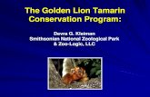 The Golden Lion Tamarin Conservation Program...Lion Tamarins: Biology and Conservation. Smithsonian Institution Press, Washington, DC (ISBN 1-58834-072-4). This book is currently available