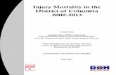Injury Mortality in the District of Columbia 2009-2013 · Injury Mortality Report, District of olumbia, 2009-201320 Injury Deaths by Type *2013 D mortality data are preliminary. 59.6
