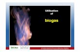 biogas - EIHP · Biogas as vehicle fuel • Utilisation of biomethanein the transport sector is a technology with great potential • Biomethaneisusedin thesame way likenaturalgas