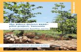 The Kilosa District REDD+ pilot project, Tanzania · The Kilosa District REDD+ pilot project, Tanzania Tanzania has decided to embark upon a national REDD programme to meet its obligations