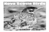 NOVA SCOTIA BIRD SOCIETY 47, numb… · periodical is partially borne by the Nova Scotia Museum. ISSN 0383-9537. Publications Mail Reg. No. 09838. Published four times a year. NOVA