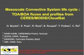 Mesoscale Convective System life cycle : TOA/BOA fluxes ... · Joint CERES-GERB and SCARAB Earth Radiation Budget Workshop 7-10 october 2014 - Toulouse ... 2 LEGOS, CNRS, Toulouse
