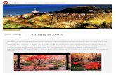 VISIT | Kyoto · popular tourist destinations in Japan. Yet, the beautiful autumn scenery in Japan is worth seeing. JTB here produce a program that is sure to bring good memories