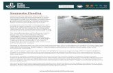 Stormwater Flooding - Safe Clean Water Program · improve flood prevention and capture more stormwater, clean and save it for future use while enhancing local communities in the process.