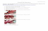 Virtual Fish DissectionVirtual Fish Dissection...To the Teacher The Penguins Teacher’s Guide for grades 4–8 was developed at SeaWorld to help you teach your students—in an active,