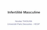 Infertilité Masculine clinique... · azoospermie obstructive / excrétoire •Prélèvement déférentiel, épididymaire ou testiculaire, plus rarement VS •Contrôle per-opératoire