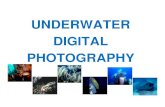 Underwater Digital Photography€¦ · Underwater Digital Photography ... the light that you use to take good underwater photos. Sunlight. Sunlight passes through the earth’s atmosphere