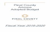 Pinal County Arizona Adopted Budget 2019... · 24,540 30,000 36,532 37,000 health inspection fees. 12,560 10,500 7,500 8,000 case management fees: 131,685 140,000 140,000 140,000